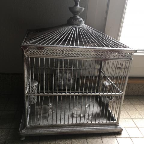 troc de  Cage pour oiseau, sur mytroc