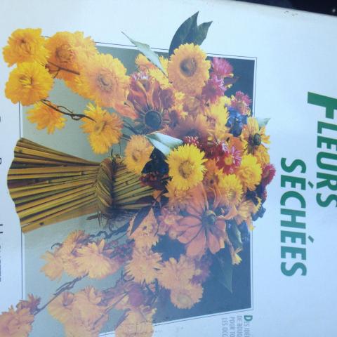 troc de  Fleurs séchées Bouquet pour toute occasion Hachette 64 pages 1995, sur mytroc