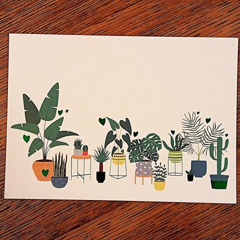 troc de  Carte postale "Plantes et cactus"., sur mytroc