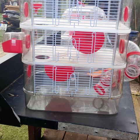 troc de  Cage a hamster aquarium, sur mytroc