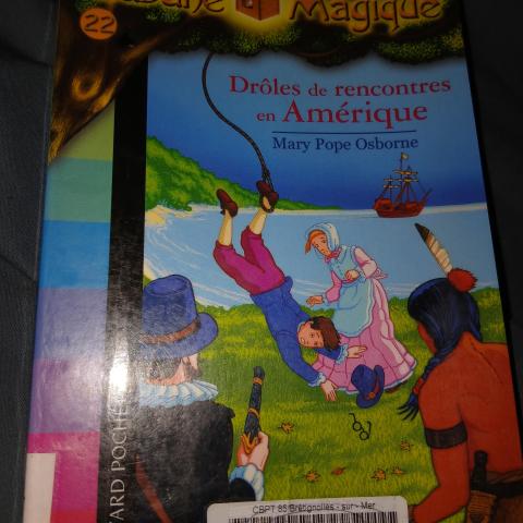 troc de  Roman cabane magique, sur mytroc