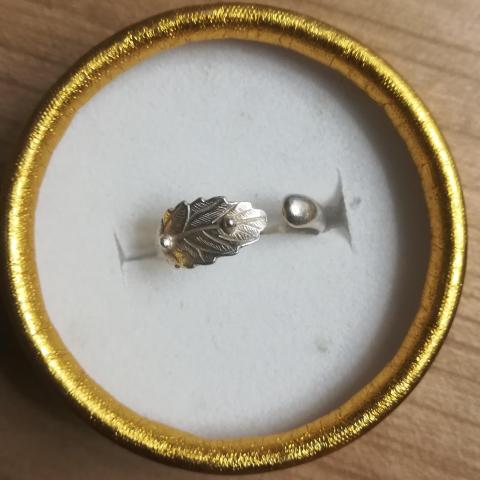 troc de  Bague feuille en argent, sur mytroc