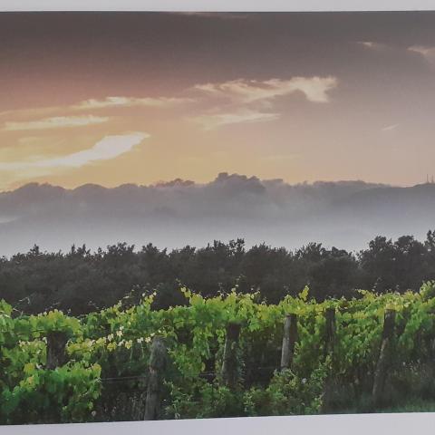troc de  Cartes postales paysages, sur mytroc