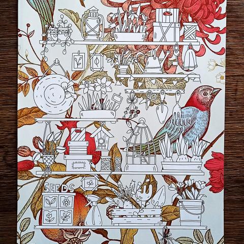 troc de  Coloriage., sur mytroc