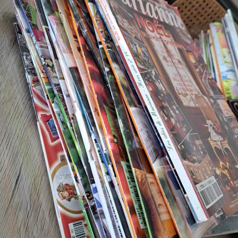 troc de  Lot magazines "Les idées de Marianne", sur mytroc