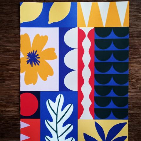 troc de  Affiche "Plantes et feuilles"., sur mytroc