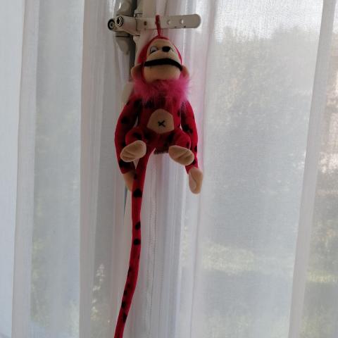 troc de  Petite peluche Marsupilami rose fluo, sur mytroc