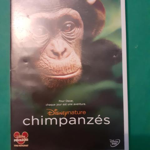 troc de  DVD CHIMPANZES / DISNEY NATURE, sur mytroc