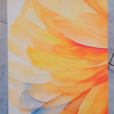 troc de  Papier créatif "Pétales"., sur mytroc