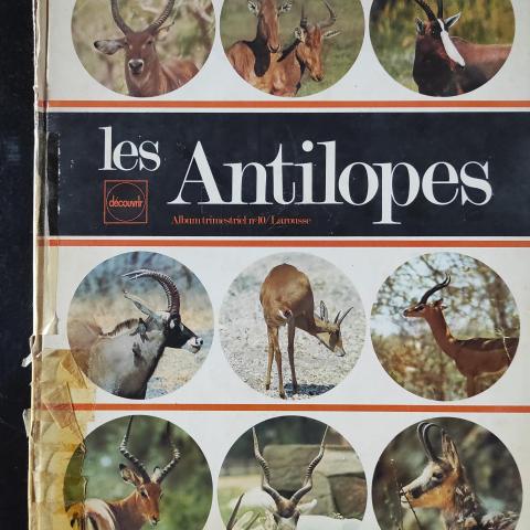 troc de  les antilopes, sur mytroc