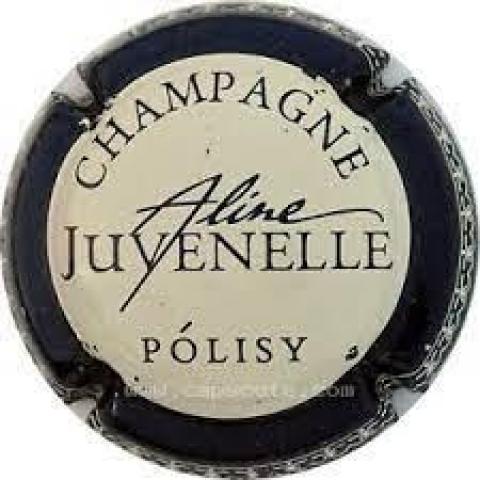 troc de  Capsule Champagne Juvenelle, sur mytroc