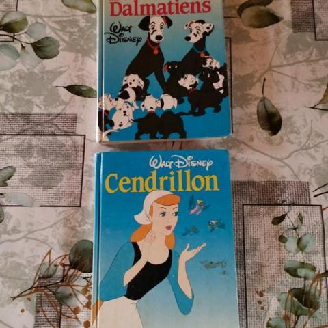 troc de  Réservé Diverstroc Lot 2 livres Disney (Cendrillon+ 101 Dalmatiens), sur mytroc