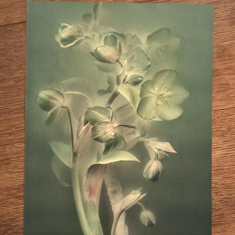 troc de  Affiche "Les plantes"., sur mytroc