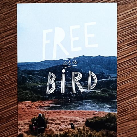 troc de  Carte "Free as a bird"., sur mytroc