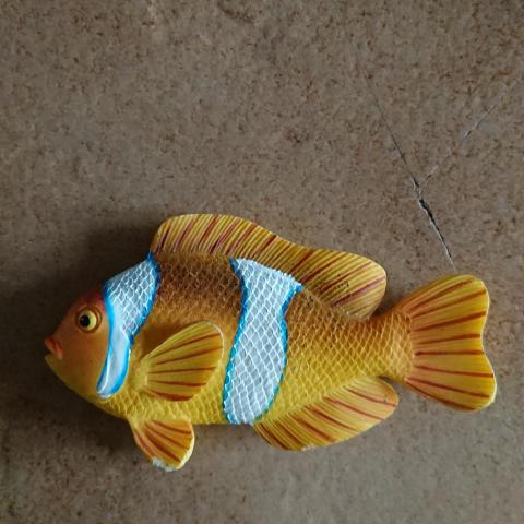 troc de  Magnet poisson jaune, sur mytroc