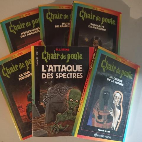troc de  Lot 6 livres Chair de Poule, sur mytroc