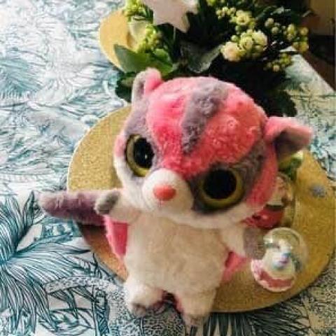 troc de  Donne peluche jouet doudou rose  Enfant Bébé collection « Yoohoo, sur mytroc