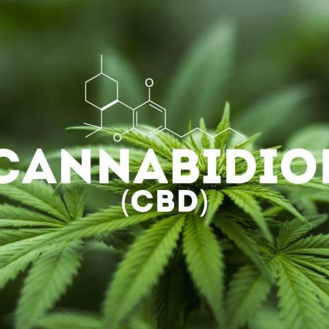 troc de  CBD,terpenes Conseil Cannabis Medical Par Expert "Budtender", sur mytroc