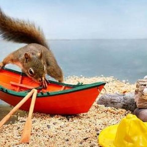 troc de  Les Vacances de Nutsy, sur mytroc