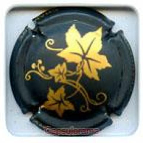 troc de  Capsule Mousseux Générique, sur mytroc