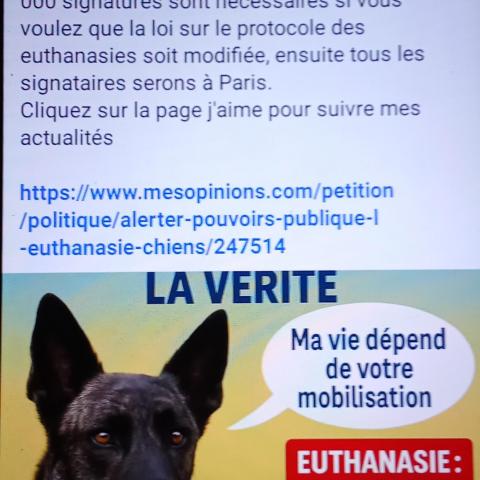 troc de  pétition contre l 'euthanasie abusives des chiens, sur mytroc