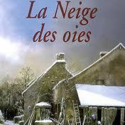 troc de  Attribué Livre - La Neige des oies - Poche - Françoise Debris-Poumarat, sur mytroc