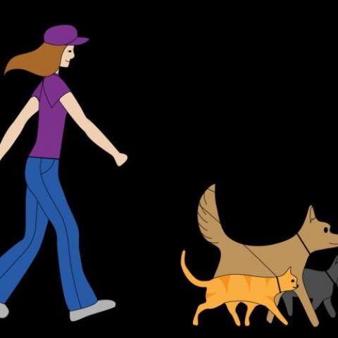 troc de  Promenade assurée pour vos chiens, sur mytroc