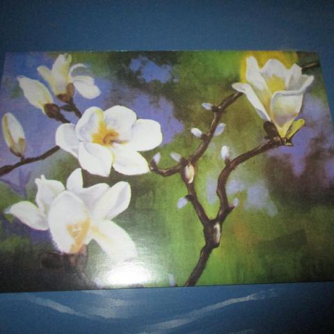 troc de  carte double magnolia neuve, sur mytroc