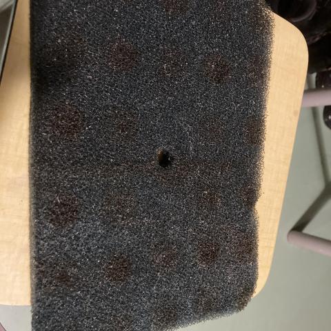 troc de  Cherche mousse pour pompe-filtre de bassin, sur mytroc