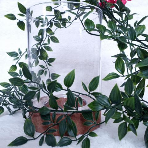troc de  Vase en verre, sur mytroc