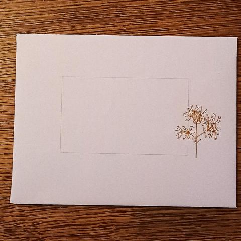 troc de  1 enveloppe-lettre., sur mytroc