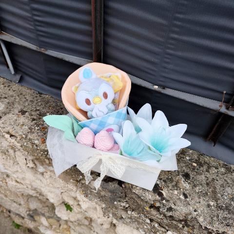 troc de  Panier florale fruité pokémon crêpes tiplouf, sur mytroc