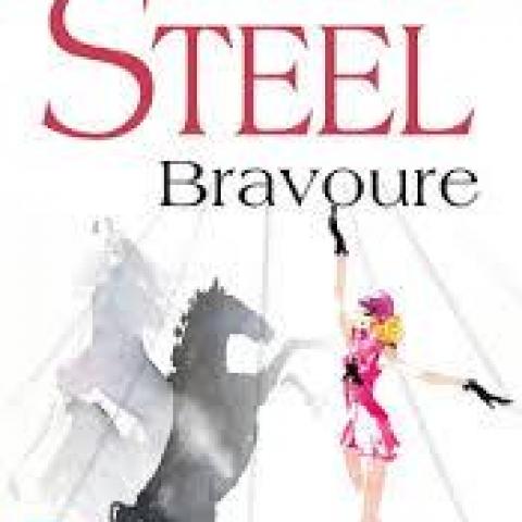 troc de  Livre - Bravoure - Poche - Danielle Steel, sur mytroc
