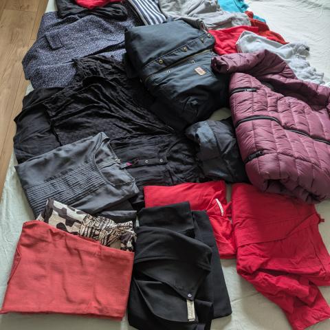 troc de  Lot de vêtements femme taille 36/38, sur mytroc