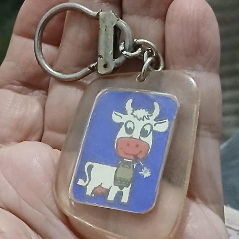 troc de  Porte Clé, sur mytroc