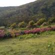 troc de troc jardin bio et auto-construction image 0