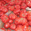 troc de troc n°4 - tomates coeur de boeuf graines image 0