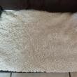 troc de troc coussin canapé pour chien image 2