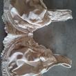 troc de troc soutien gorge image 0