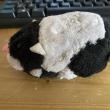 troc de troc zhu zhu pet image 1