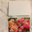 troc de troc carte parterre de fleurs renoncules rose et orange & son envelopp image 1