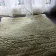 troc de troc housses de coussin vert anis image 0