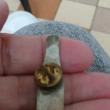 troc de troc reserver sophie  un pins image 1