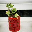 troc de troc plantes image 1