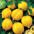 troc de troc 102 - tomate citron graines image 0