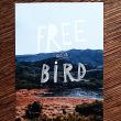 troc de troc carte "free as a bird". image 0