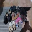 troc de troc 9 paires de chaussures t36 image 0