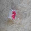 troc de troc boucle d oreille noeud rose neuf image 0