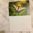 troc de troc grande carte papillon butinant & son enveloppe blanche image 1