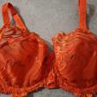 troc de troc soutien gorge image 0